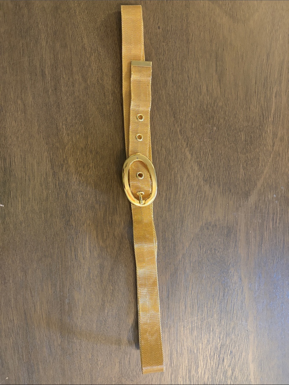 Vintage Gold Tone Mesh Oval Buckle Watchband Style Belt Retro Statement